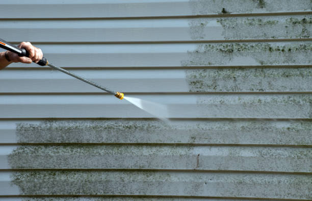 Best Affordable Pressure Washing  in Plano, TX