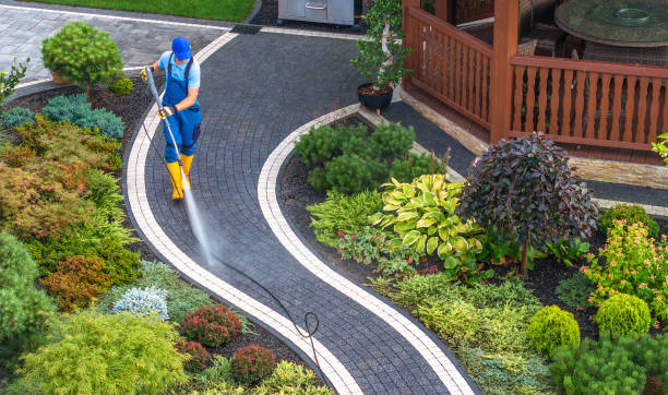 Best Exterior Home Cleaning  in Plano, TX